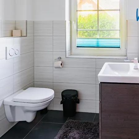 Am Gutspark Drankse Sonnenaufgang Und Sonnentag 드란스케