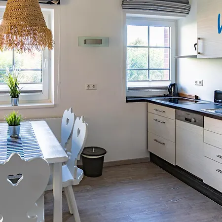 Am Gutspark Drankse Sonnenaufgang Und Sonnentag