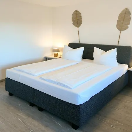 Am Gutspark Drankse Sonnenaufgang Und Sonnentag * 드란스케