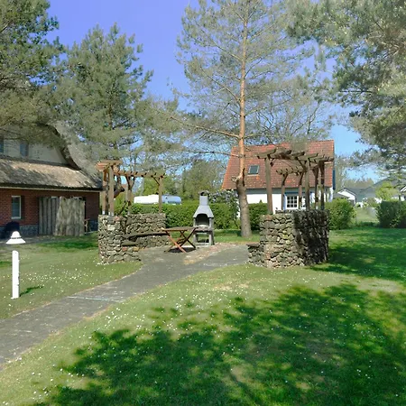 Am Gutspark Drankse Sonnenaufgang Und Sonnentag 드란스케