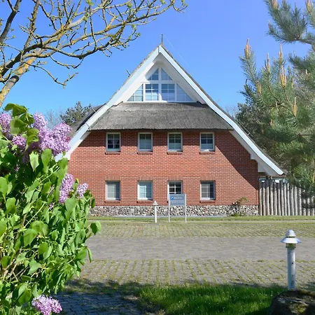 Am Gutspark Drankse Sonnenaufgang Und Sonnentag *