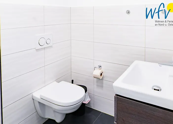 Am Gutspark Drankse Sonnenaufgang Und Sonnentag *