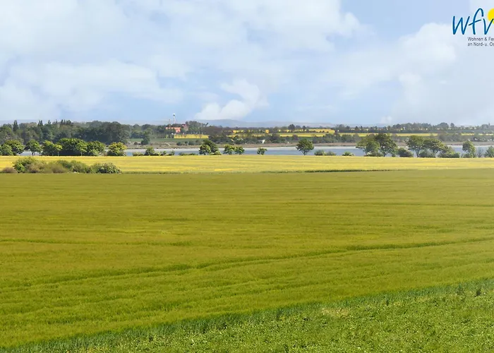 Am Gutspark Drankse Sonnenaufgang Und Sonnentag