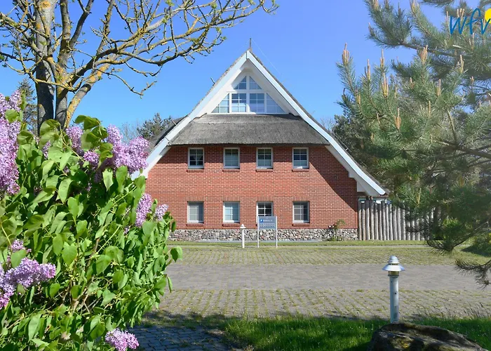 Am Gutspark Drankse Sonnenaufgang Und Sonnentag *